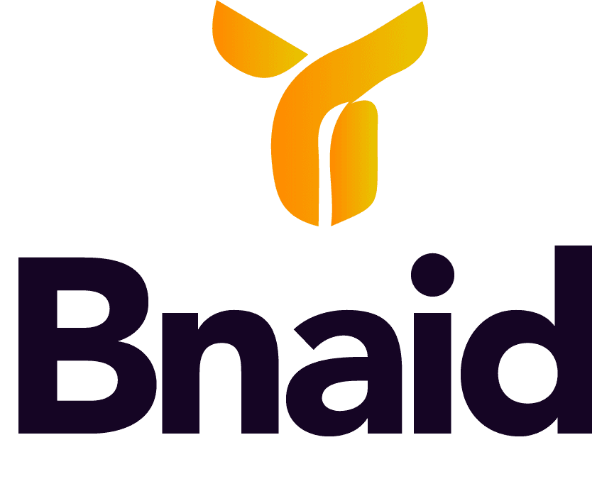bnaid.com